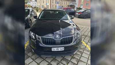Skoda Skoda